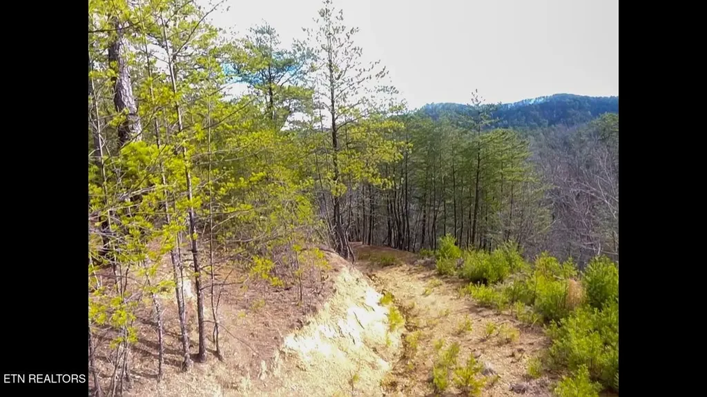 36 Bullet Mountain Drive Tellico Plains TN 37385