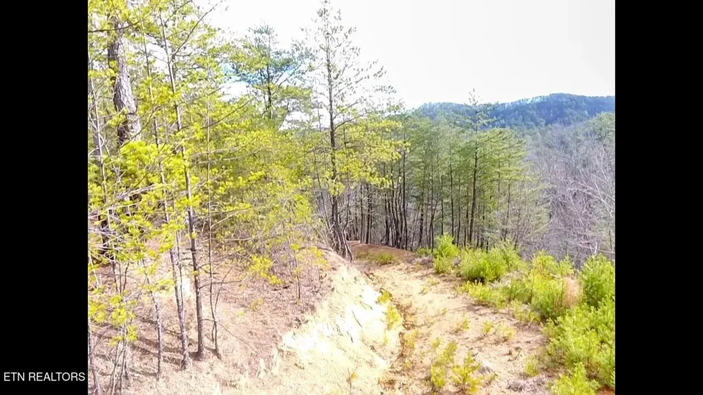 36 Bullet Mountain Drive Tellico Plains TN 37385