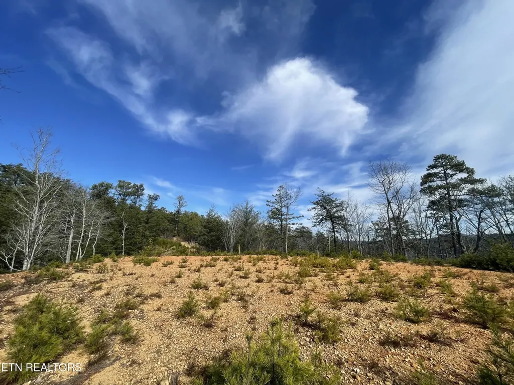 36 Bullet Mountain Drive Tellico Plains TN 37385
