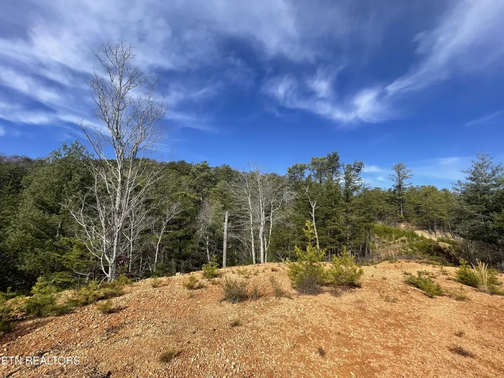 36 Bullet Mountain Drive Tellico Plains TN 37385