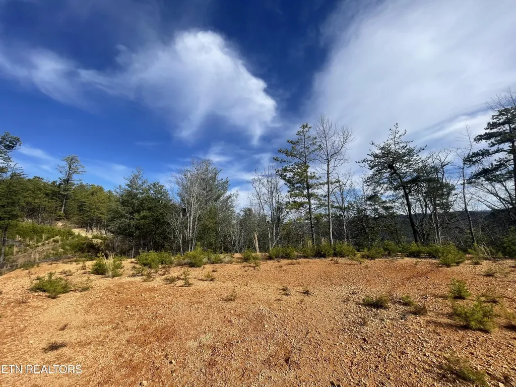 36 Bullet Mountain Drive Tellico Plains TN 37385