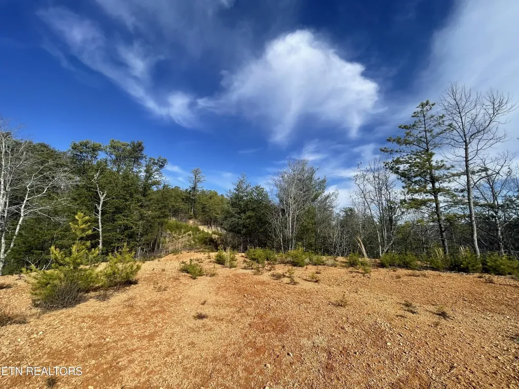 36 Bullet Mountain Drive Tellico Plains TN 37385