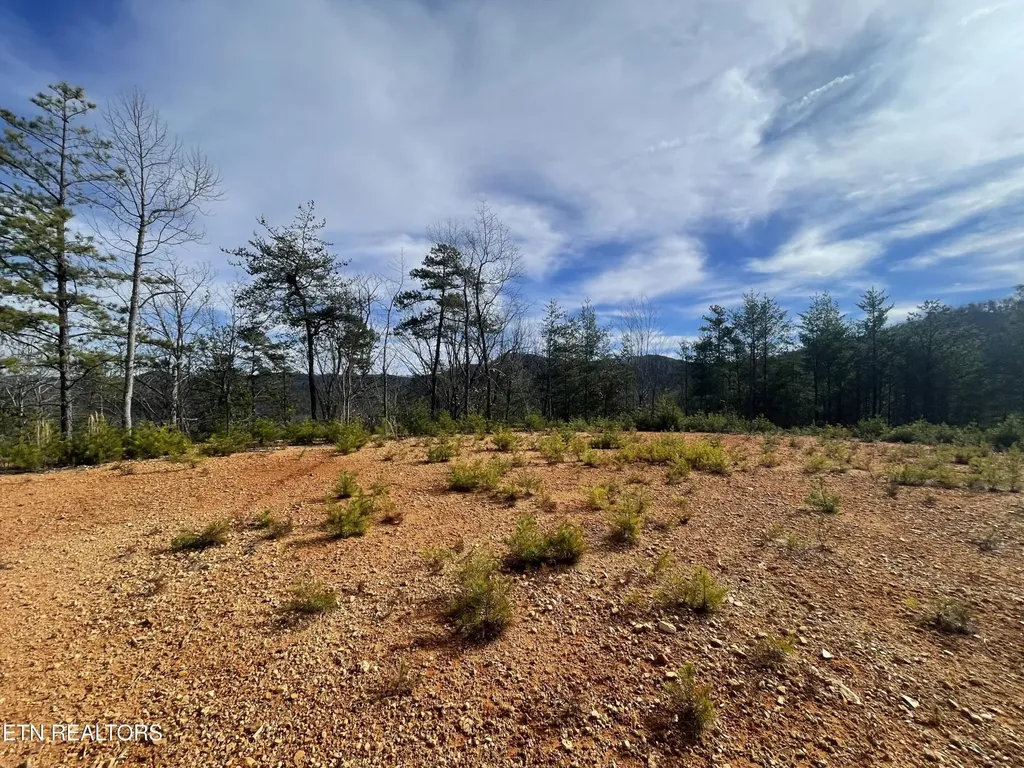 36 Bullet Mountain Drive Tellico Plains TN 37385