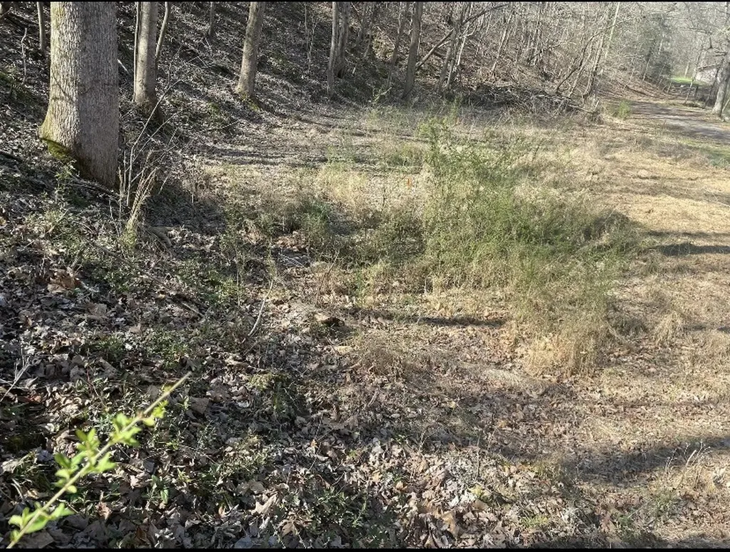 1195 Blaylock Road, N Dickson TN 37055