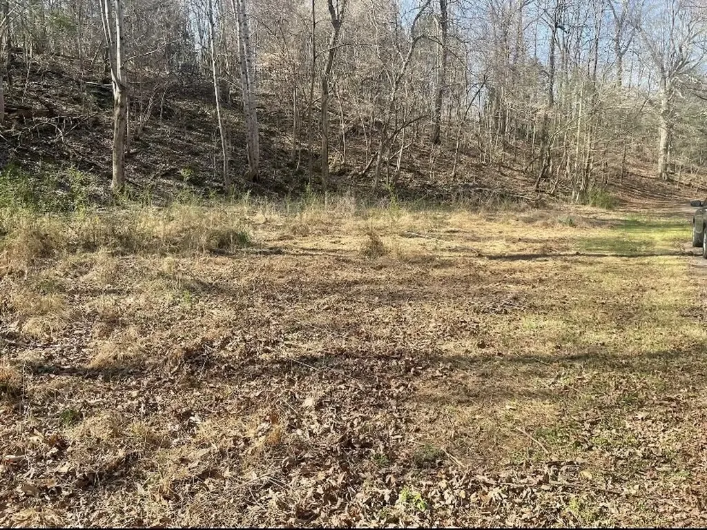 1195 Blaylock Road, N Dickson TN 37055