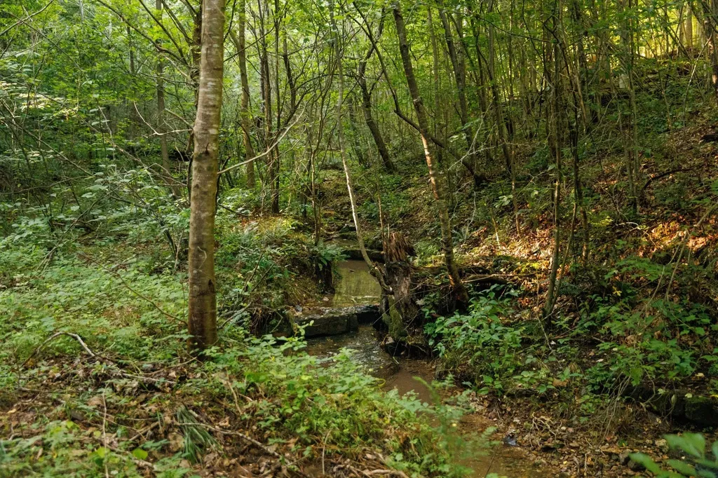 7365 Coldwater Road Fairview TN 37062