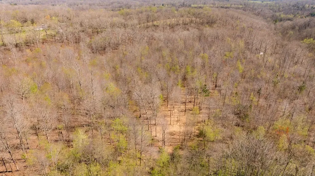 7365 Coldwater Road Fairview TN 37062