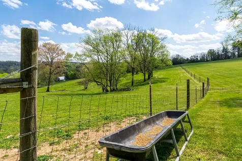 5123 Steam Mill Hollow Road Williamsport TN 38487
