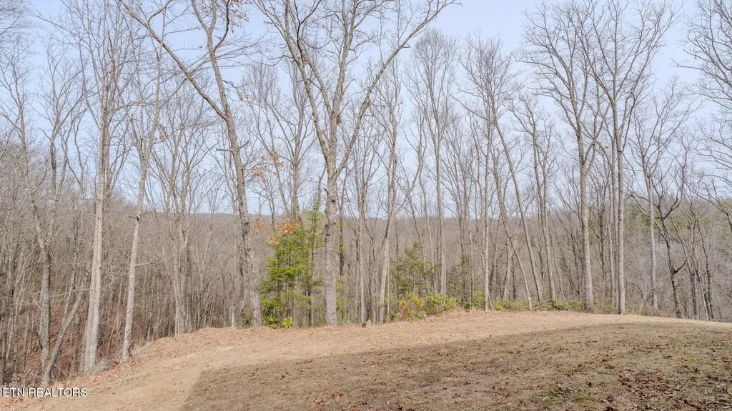 336 John J Smith Road Oneida TN 37841