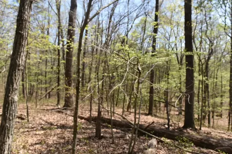 490 Haynes Road Sewanee TN 37375