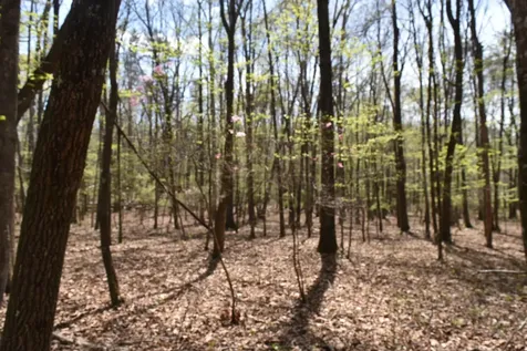 490 Haynes Road Sewanee TN 37375