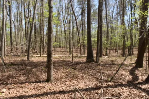 490 Haynes Road Sewanee TN 37375