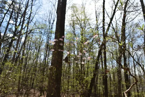 490 Haynes Road Sewanee TN 37375