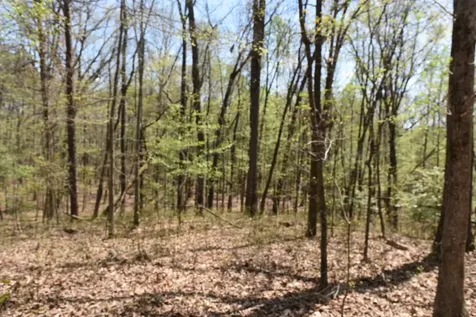 490 Haynes Road Sewanee TN 37375