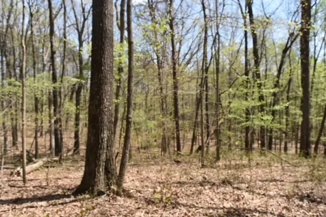 490 Haynes Road Sewanee TN 37375