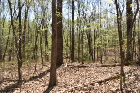 490 Haynes Road Sewanee TN 37375
