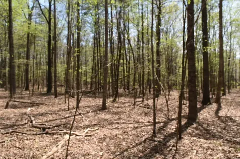 490 Haynes Road Sewanee TN 37375