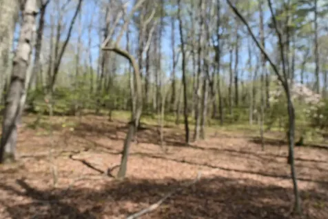 490 Haynes Road Sewanee TN 37375