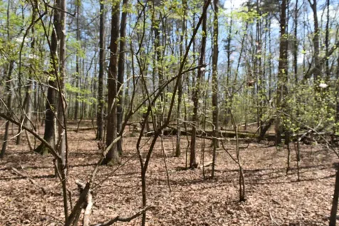 490 Haynes Road Sewanee TN 37375