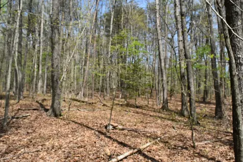490 Haynes Road Sewanee TN 37375