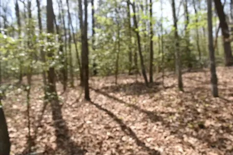 490 Haynes Road Sewanee TN 37375