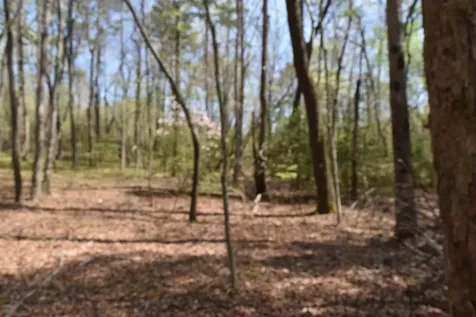 490 Haynes Road Sewanee TN 37375