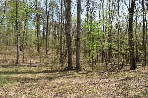 490 Haynes Road Sewanee TN 37375