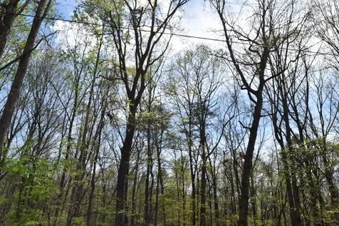 490 Haynes Road Sewanee TN 37375