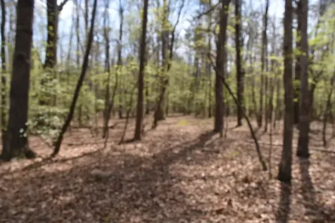 490 Haynes Road Sewanee TN 37375