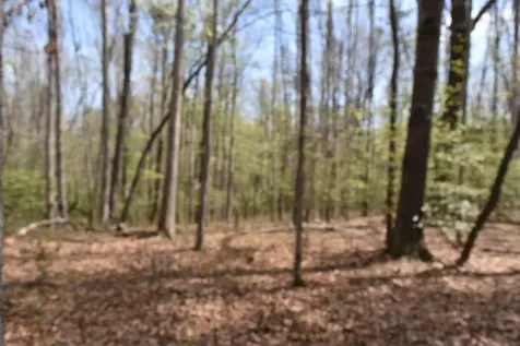 490 Haynes Road Sewanee TN 37375