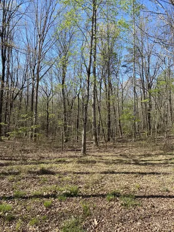490 Haynes Road Sewanee TN 37375