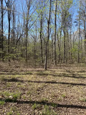 490 Haynes Road Sewanee TN 37375