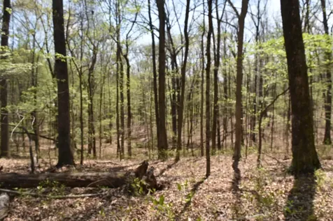490 Haynes Road Sewanee TN 37375