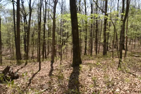 490 Haynes Road Sewanee TN 37375
