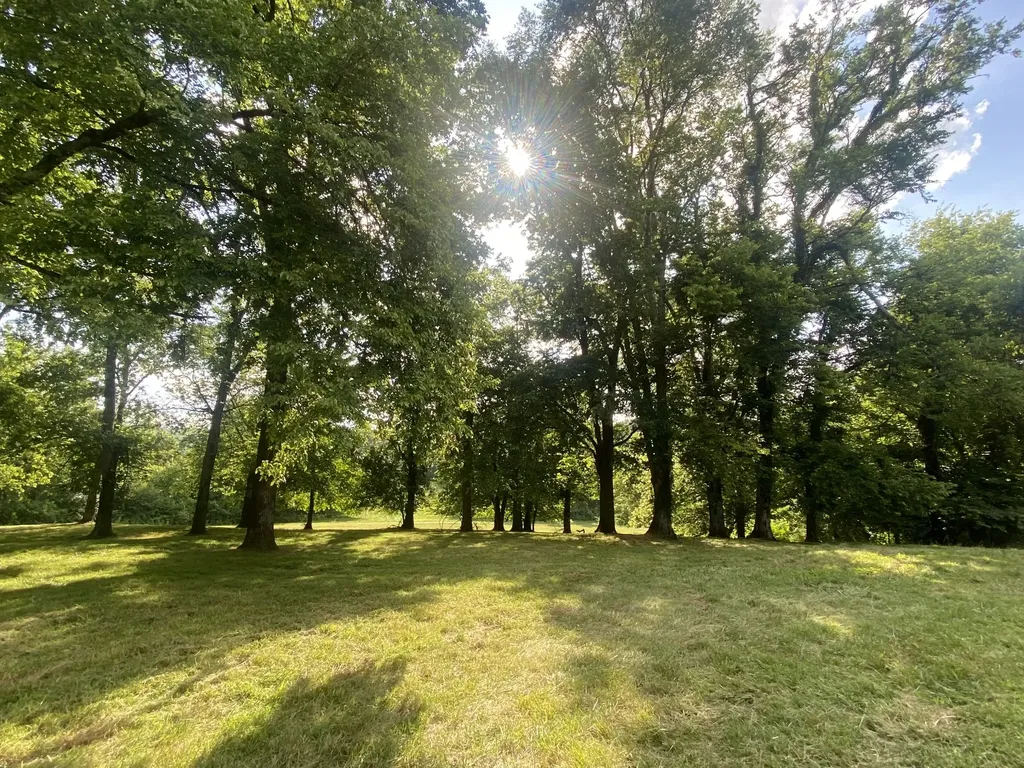2255 Arthur Hutcherson Road Columbia TN 38401