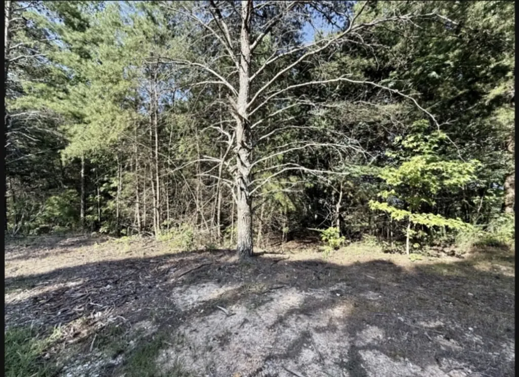 0 Arthur Court Waverly TN 37185