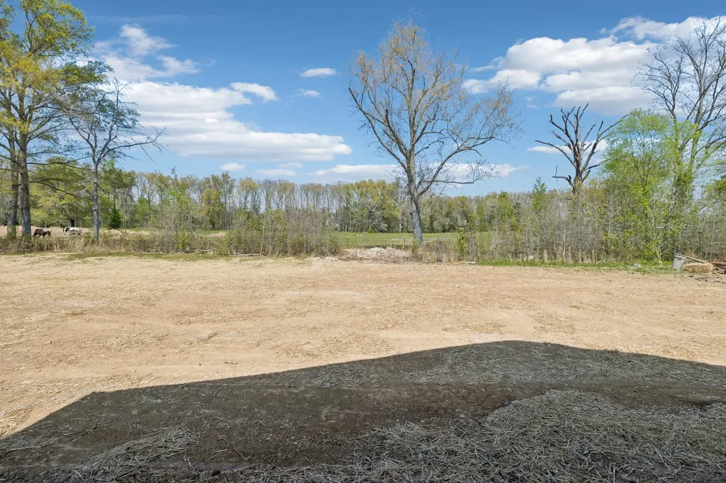 190 Green Meadow Drive Smithville TN 37166
