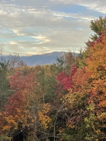630 Big Bear Ridge Road Gatlinburg TN 37738