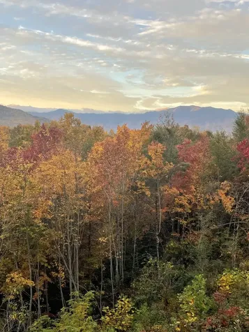 630 Big Bear Ridge Road Gatlinburg TN 37738