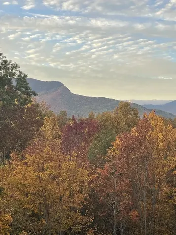 630 Big Bear Ridge Road Gatlinburg TN 37738