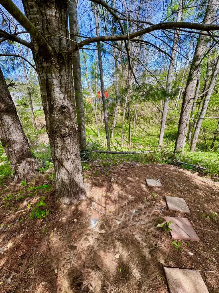7500 Mayfair Court Fairview TN 37062