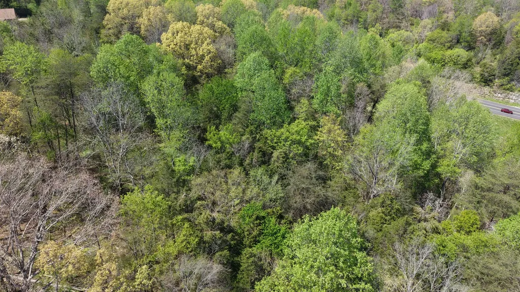 0 Old Highway 96 Burns TN 37029