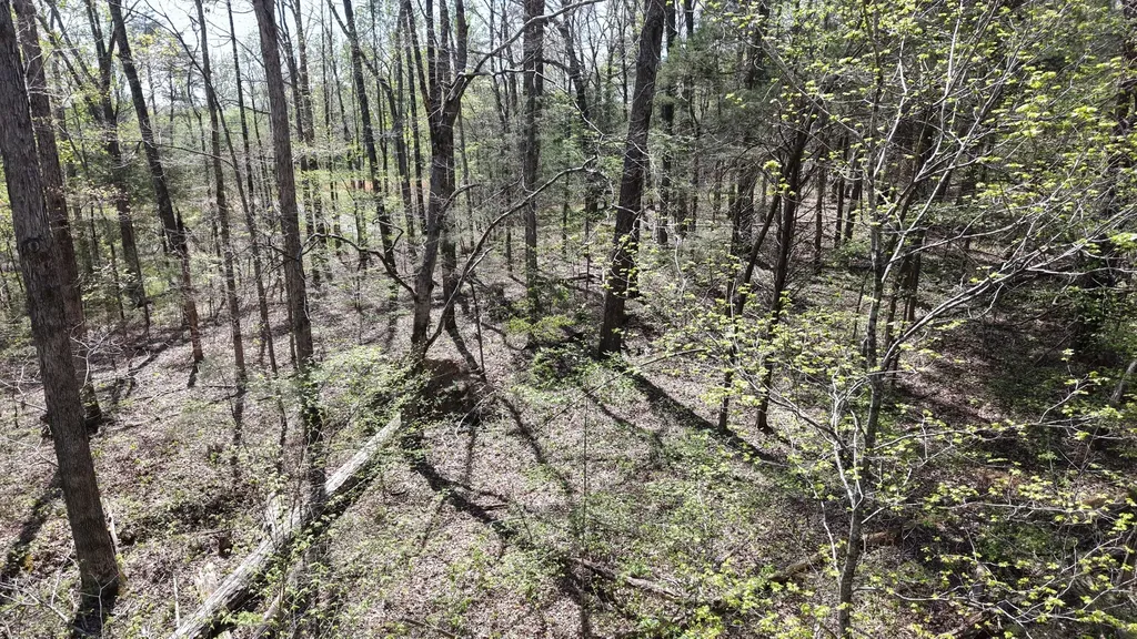 0 Old Highway 96 Burns TN 37029