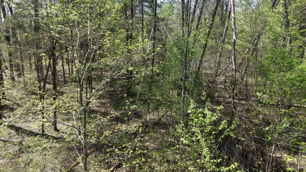 0 Old Highway 96 Burns TN 37029