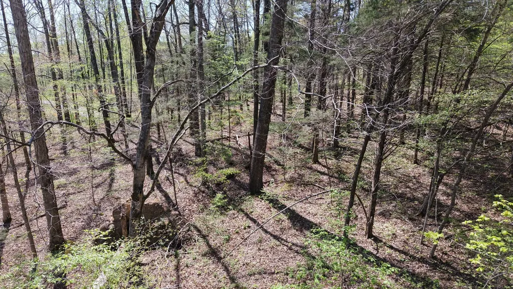 0 Old Highway 96 Burns TN 37029