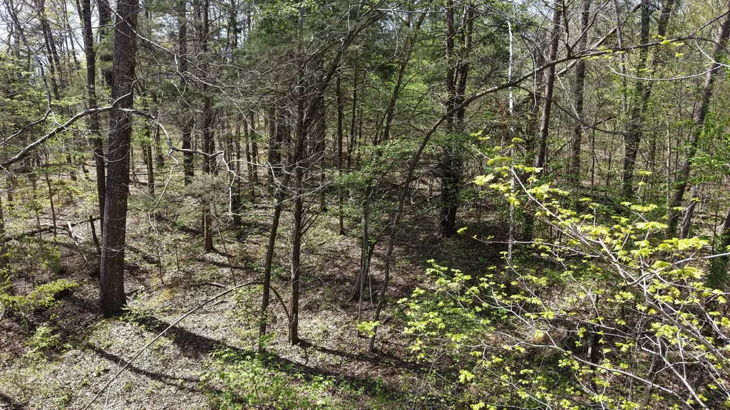 0 Old Highway 96 Burns TN 37029