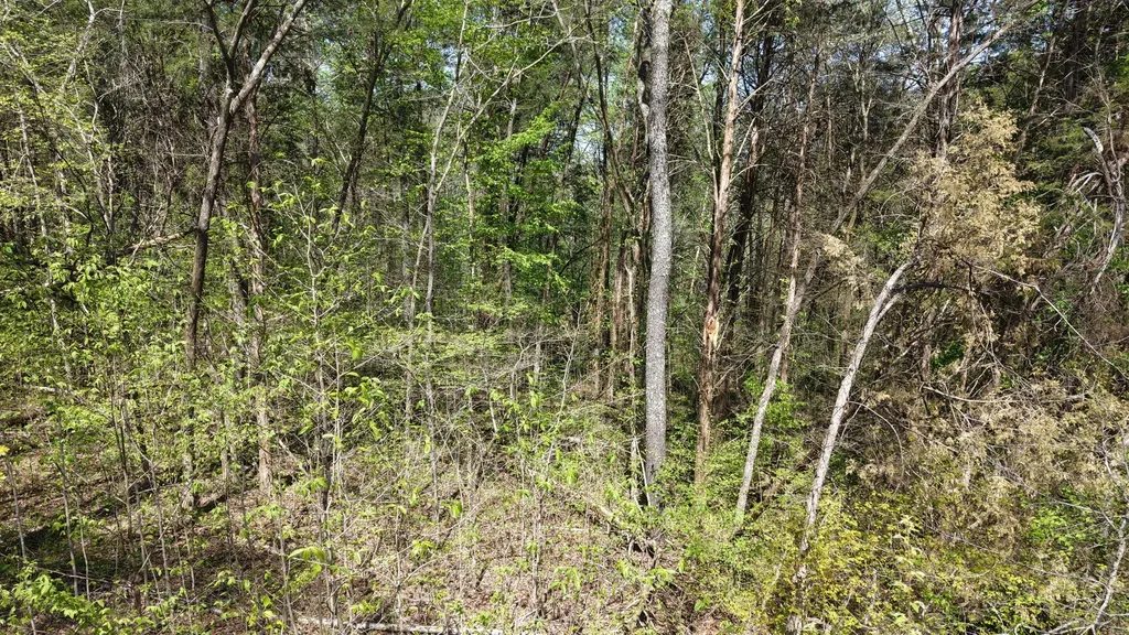 0 Old Highway 96 Burns TN 37029
