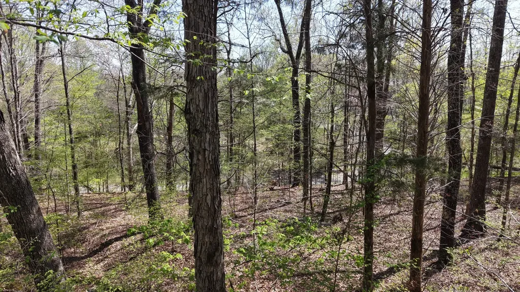 0 Old Highway 96 Burns TN 37029