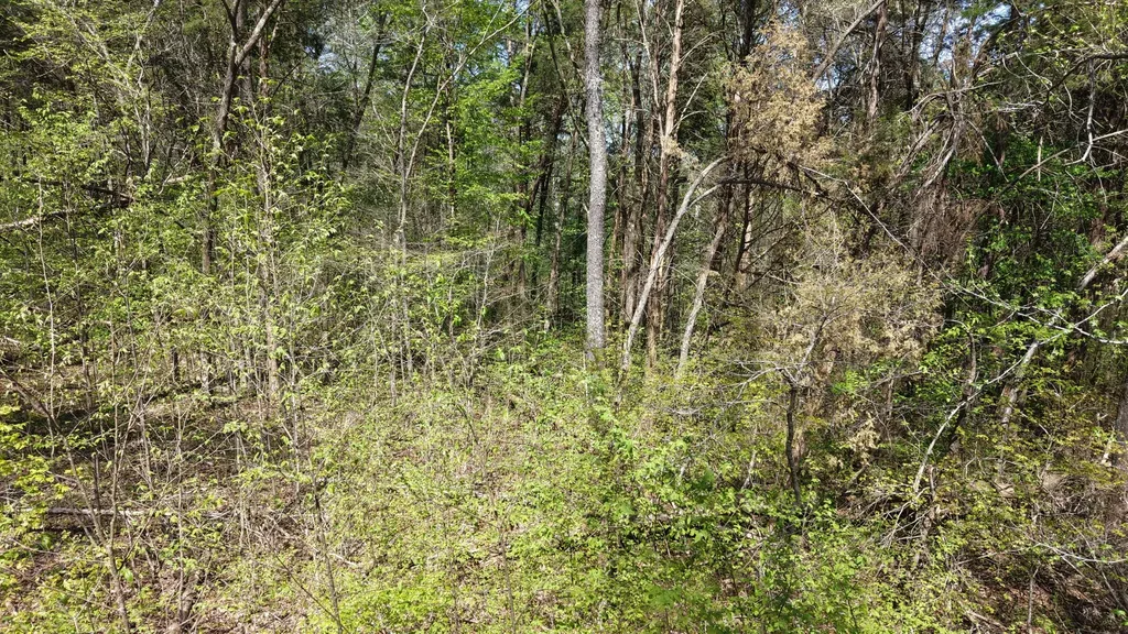 0 Old Highway 96 Burns TN 37029