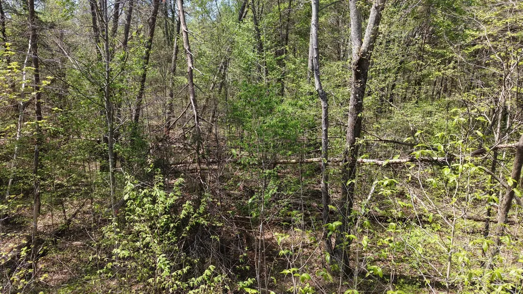 0 Old Highway 96 Burns TN 37029